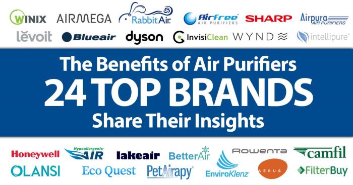 Graphic "The Benefits of Air Purifiers - 24 Top Brands Share Their Insights"