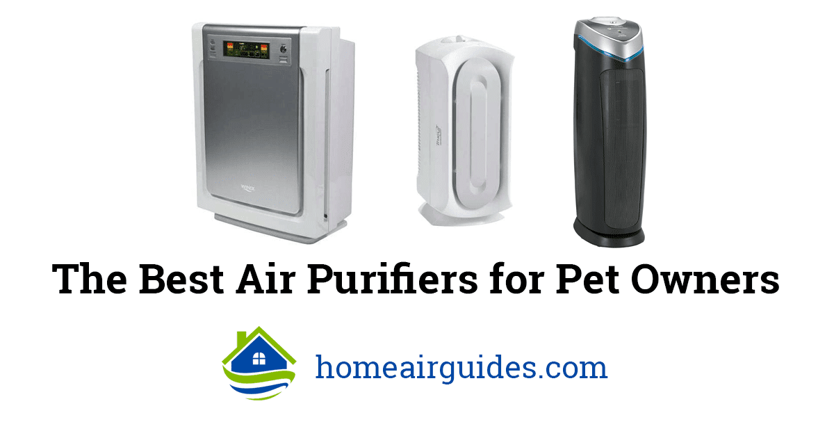 2019 Top 3 Best Air Purifiers for Pets (Allergies, Cat