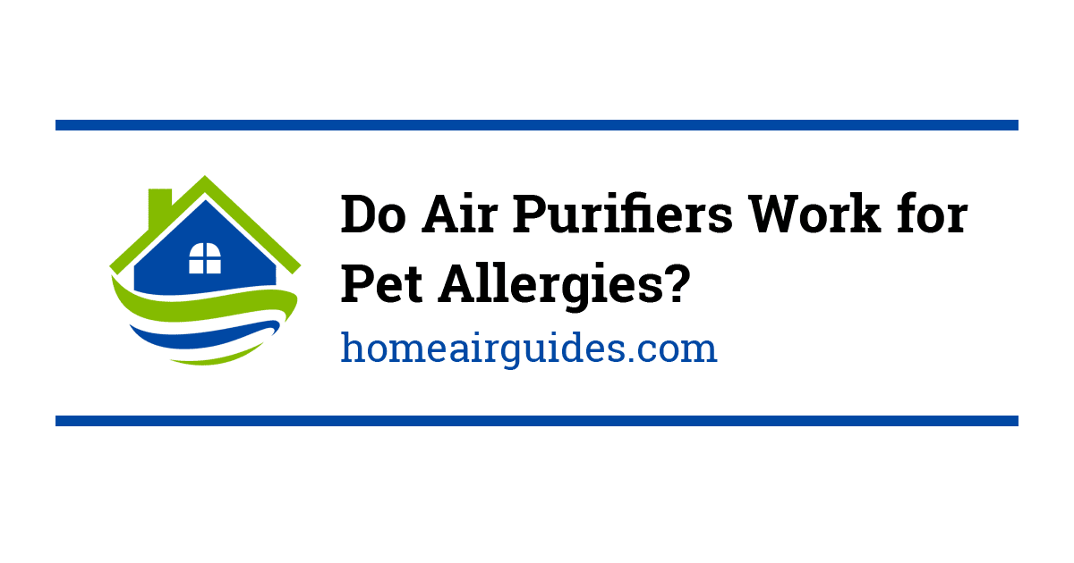 Do Air Purifiers Work for Pet Allergies? (i.e. Help with Cat Dander