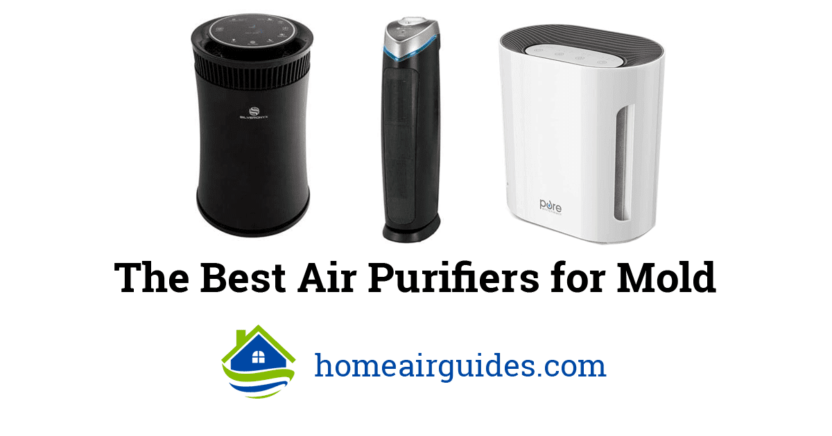 air purifier for mold spores