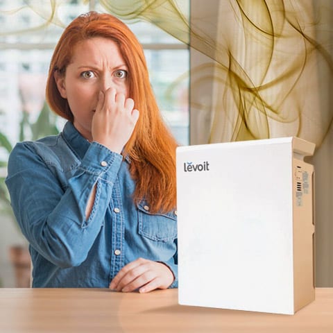Best Air Purifier for Odors