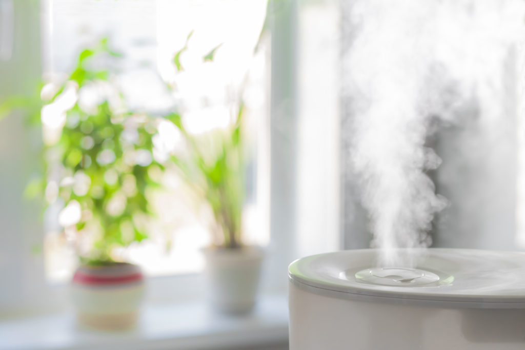Humidifiers for congestion in home