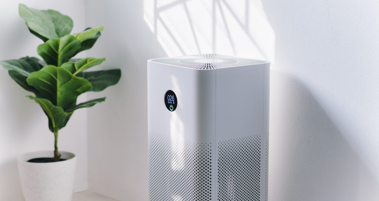 air purifier a living room next to indoor plant
