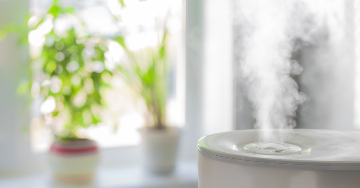 vapor from humidifier in front of window