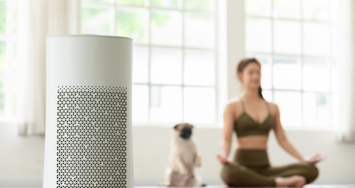 woman doing yoga with dog next to her and air purifier on ground in focus