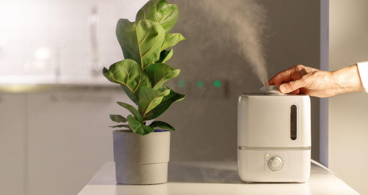 hand adjusting knob personal air purifier on table next to plant
