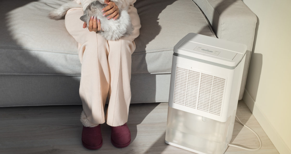 Woman with her cat sitting next to dehumidifier with pump
