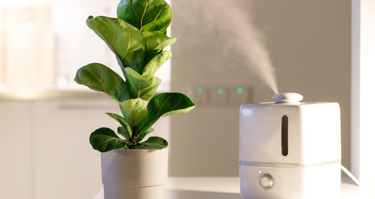 air humidifier for plants on table next to plant in pot