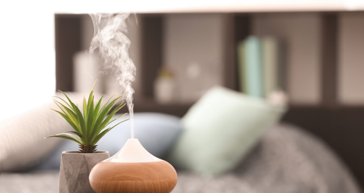 diffusing humidifier next to succulent in small grey pot