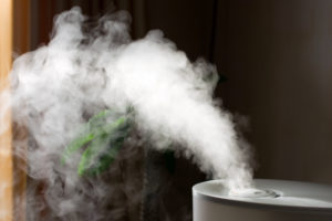 steam coming out of humidifier benefits indoor plant leaves shown behind it
